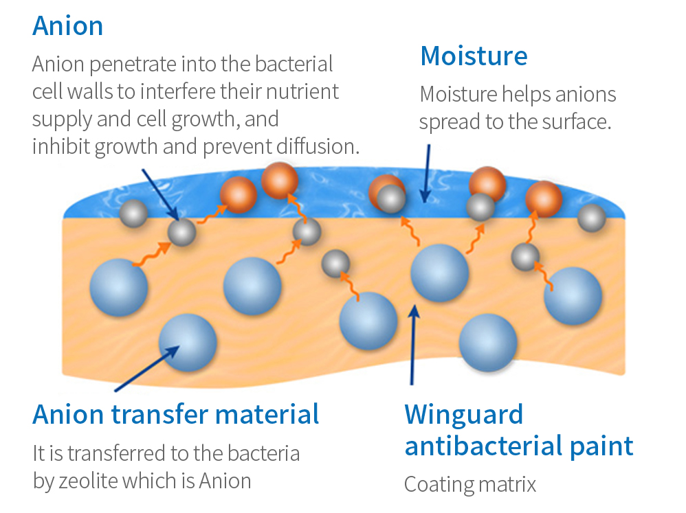 실버이온, 수분, 실버이온 전달물질, 윈가드 향균도료